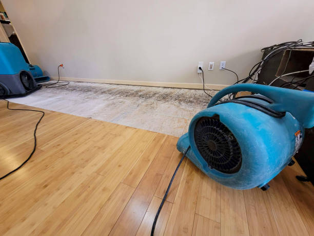 Professional Ceiling Water Damage Repair technician working in Hinckley, OH