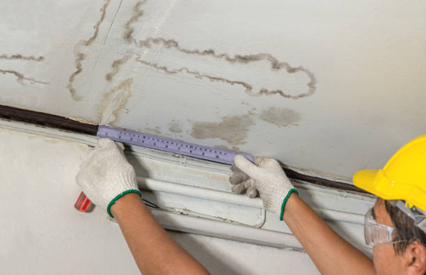 Affordable Ceiling Water Damage Repair solutions in Hinckley, OH